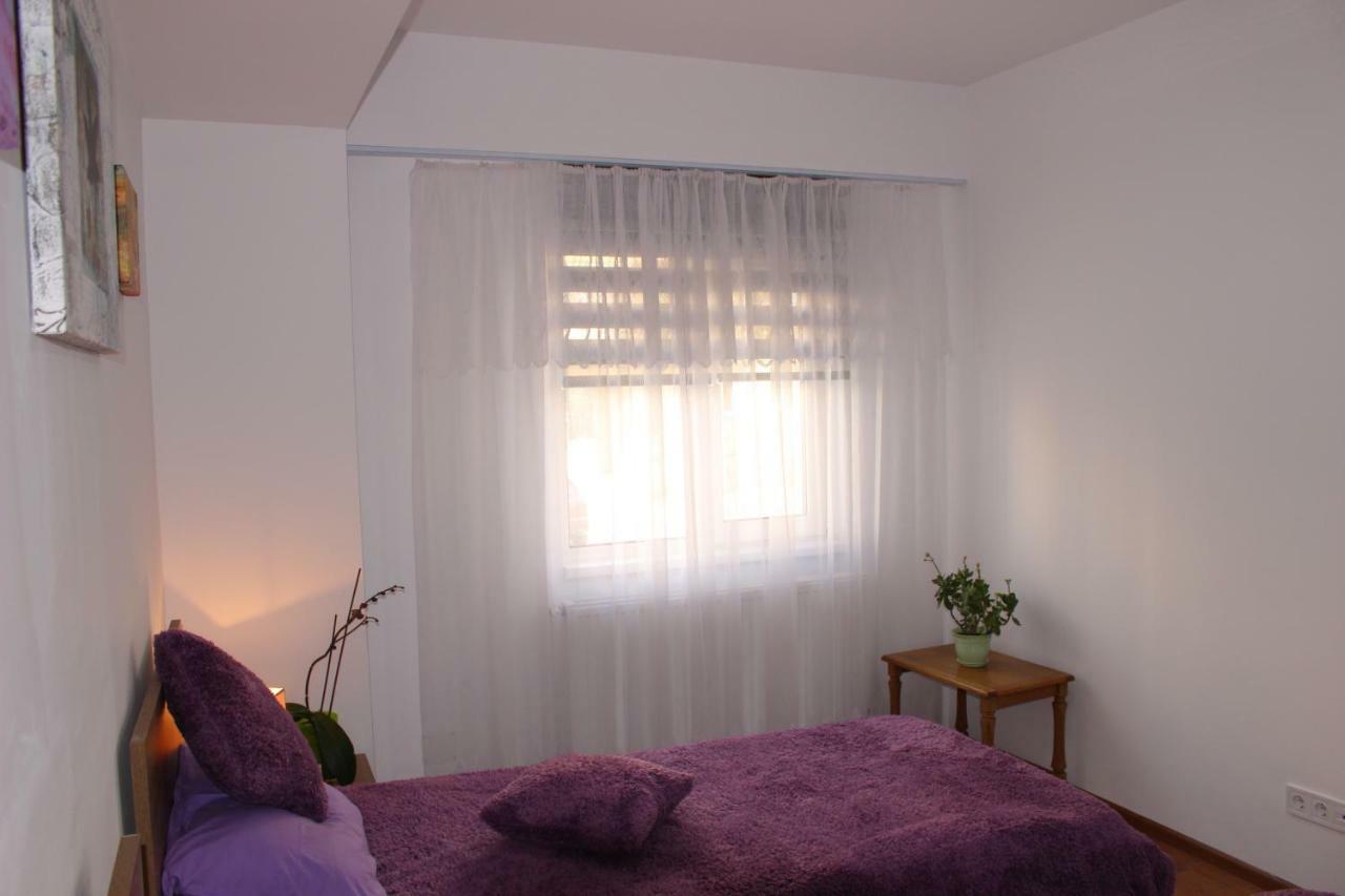 Still Apartament クラヨーヴァ エクステリア 写真