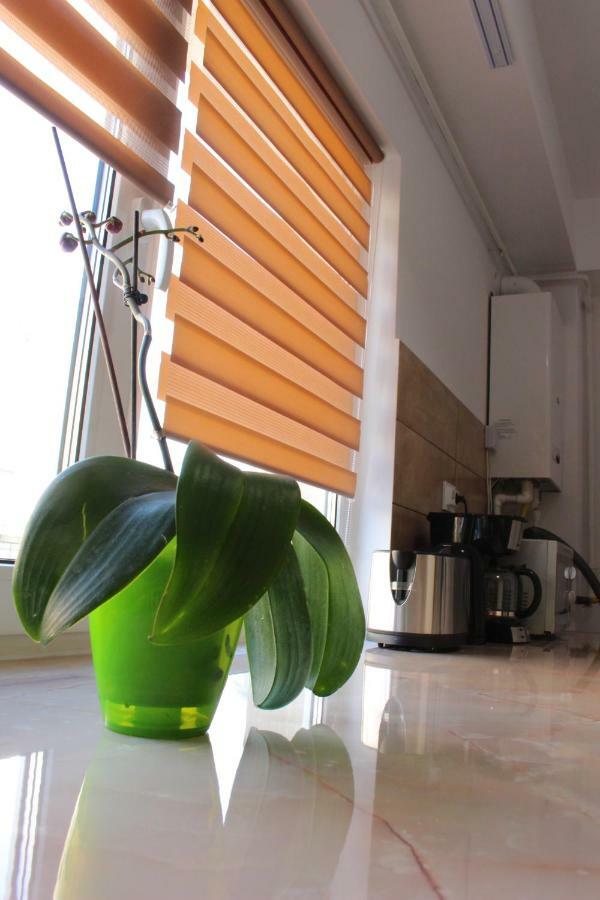 Still Apartament クラヨーヴァ エクステリア 写真